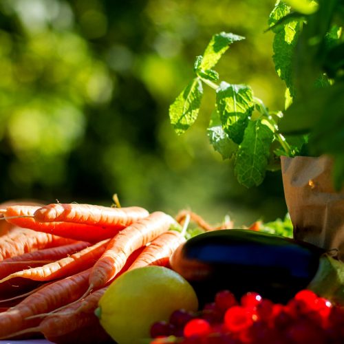 Eerlijk en Duurzaam eten, verzorgd door Boekestijn Catering